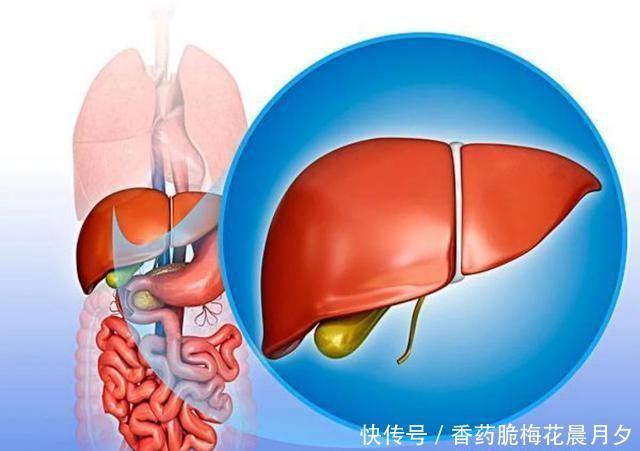 好不好|肝好不好,从什么地方能看出来