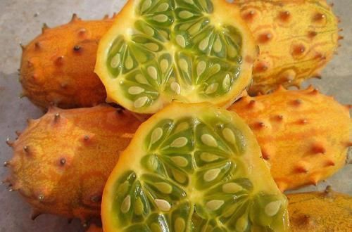 爆红|名字高大上,味道不如黄瓜,却在我国爆红,又是炒作起来的水果