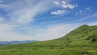 农村|欠债还钱，农村宅基地和房屋会被法院查封吗