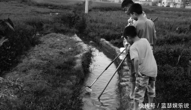  江川区|一男子在湖里电鱼，判了！