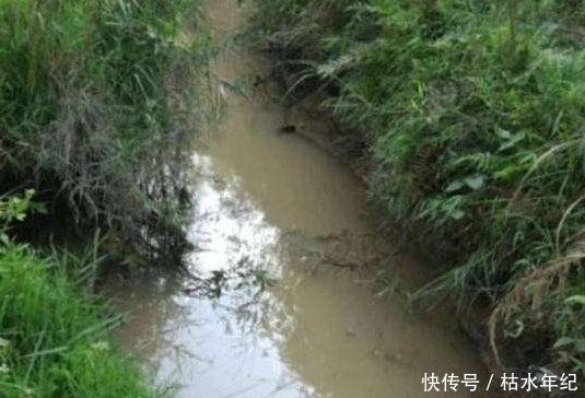 大开眼界|农村池塘传来怪叫,大胆村民捉住后,大开眼界