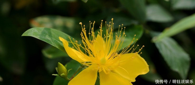  越老越|谁家老婆是以下4大生肖的，是老公的财神爷，越老越富裕！