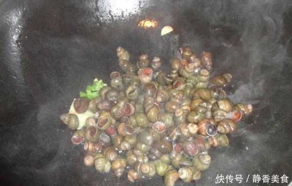 入适量|10斤田螺,闺蜜这样炒一锅,三人啤酒配螺蛳,真够味,真过瘾