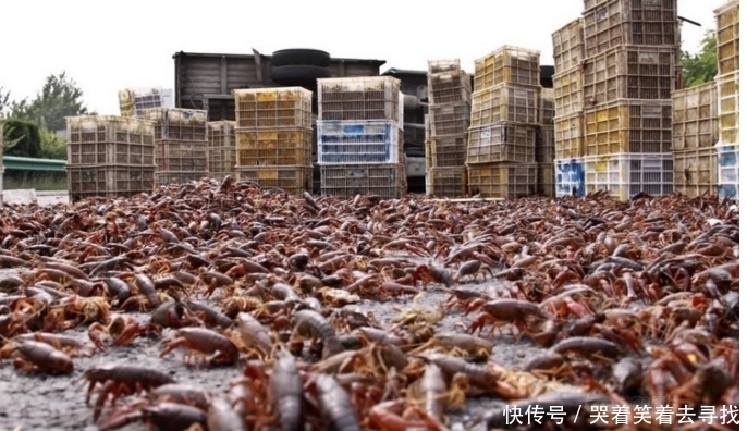  路上|高速路上出现翻车事故，当高速交警赶到时，被眼前这画面惊呆了