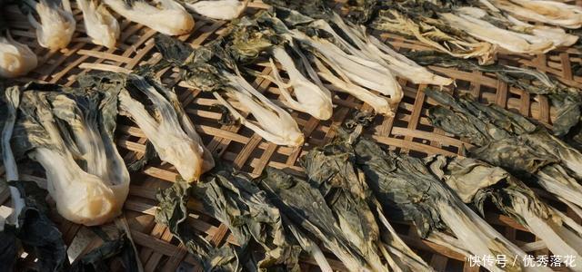 冬季|立秋后,这5种蔬菜,建议一次买20斤,能吃到冬季,炖菜炒肉香