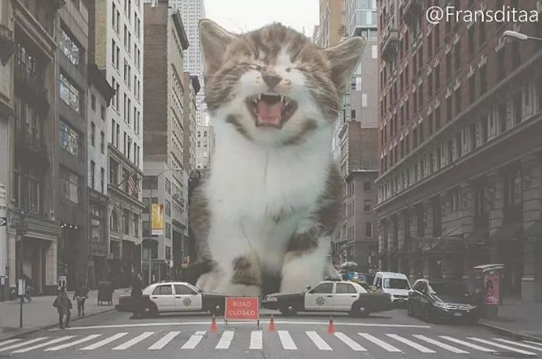 哥斯拉|要是小猫咪突然变成了庞然大物,这个世界会是什么样的