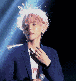 GIF|搞笑GIF：哥们，你这是在用鸽子做导航吗？想象力真丰富