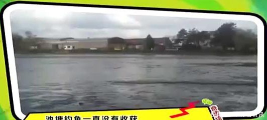  家门口|男子抽干家门口的池塘，准备捞鱼，结果发现惊人财富！