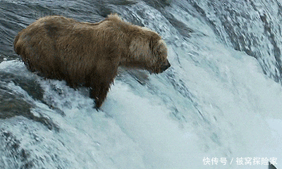  恩爱|爆笑GIF: 大哥, 在公交车上, 你们这样秀恩爱真的好吗, 我真是看不下去了