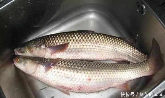 认出|海鲜大全, 你能认出多少