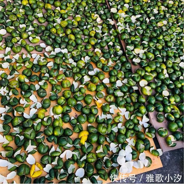 南方人|东北大娘囤300斤大白菜,南方人却喜欢囤这些!