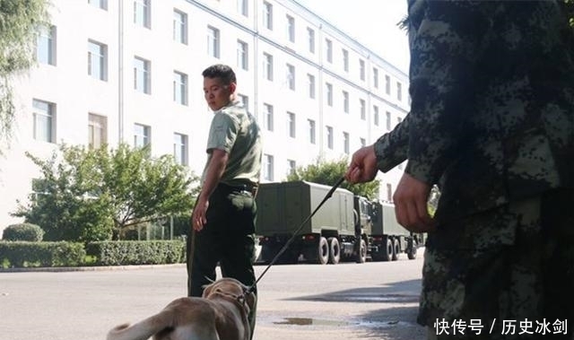 赚足|老兵退伍被军犬察觉,狗狗咬住包裹哀求他别走,场景赚足热泪