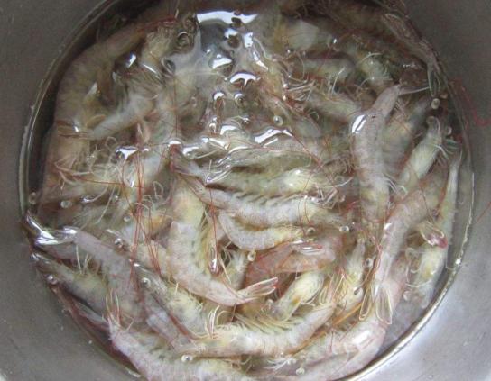 腥味|40年大厨:不管煮什么虾出锅之前多加一步!鲜嫩无腥味