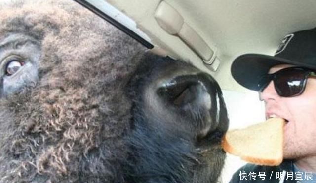  荒唐|10张那些看起来“荒唐”的照片，让人很难理解到底是怎么回事