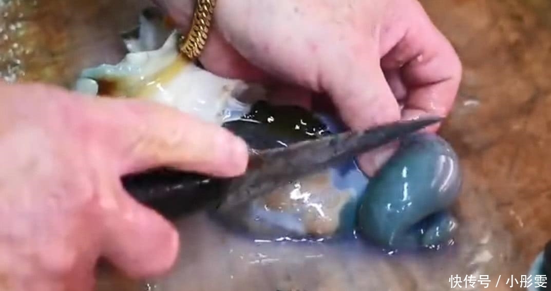 渔民|米其林厨师用刀“豪取”螺肉,渔民看到后怒了:不懂就别瞎做!