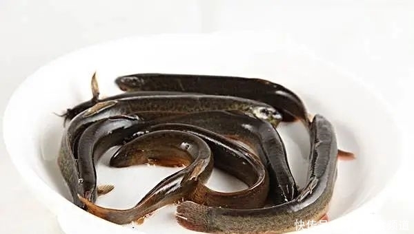  养人|天气炎热时，这些食材最养人！