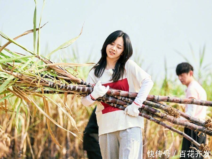  节目|他是《向往》最懒嘉宾一觉睡到中午吃饭，穿着睡裤离开蘑菇屋