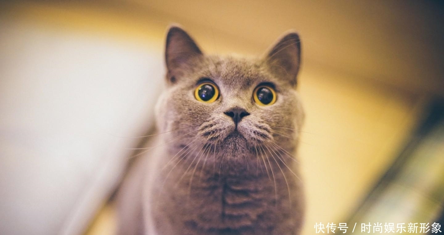  汉族不吃|回族不吃猪, 藏族不吃鱼, 那人口如此庞大的汉族, 不吃什么?