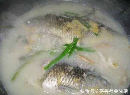 万能|不管什么鱼都可以这样炖,“万能炖鱼法”鲜嫩滋补无腥味,超简单