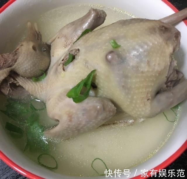 鸽子|清炖鸽子,营养滋补,清淡美味