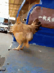 才能|搞笑GIF：哥们，你这样锻炼的方式不对啊，是谁教你的要吃饱才能锻炼减肥的啊