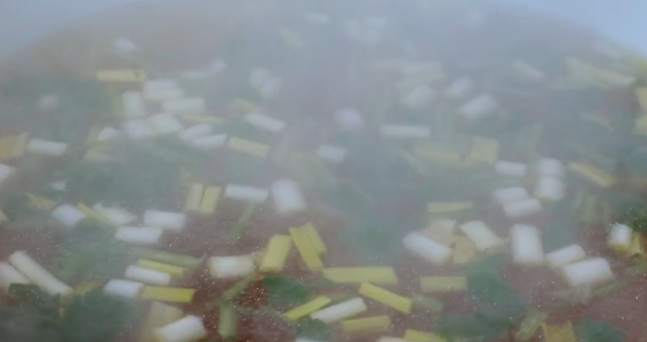 炖着|粉条不要炖着吃了,咱们换个新吃法,一口酥脆,一碗下去真舒坦