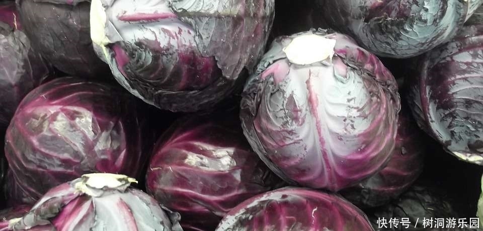  称为|这种蔬菜被称为“血栓斑块清道夫”，想血管畅通，日常不妨多吃点