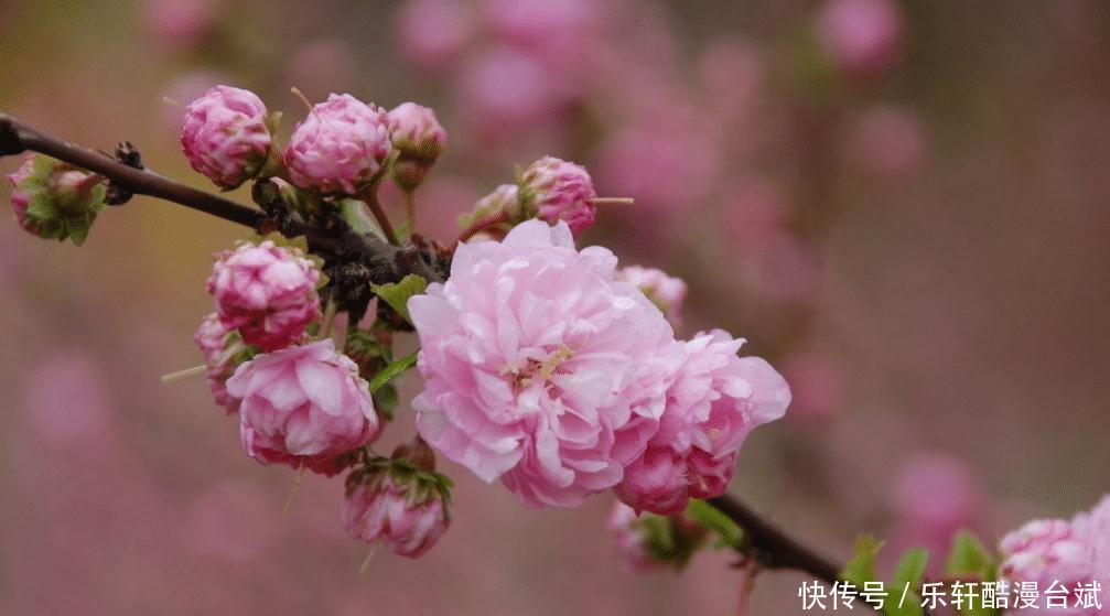生肖狗|最近半年起,财运有机遇,贵人指点,手捧聚宝盆的生肖,名利双收