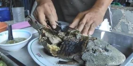 中国|这种入侵生物,连中国吃货都“难以下口”,却被印度人吃到快灭绝