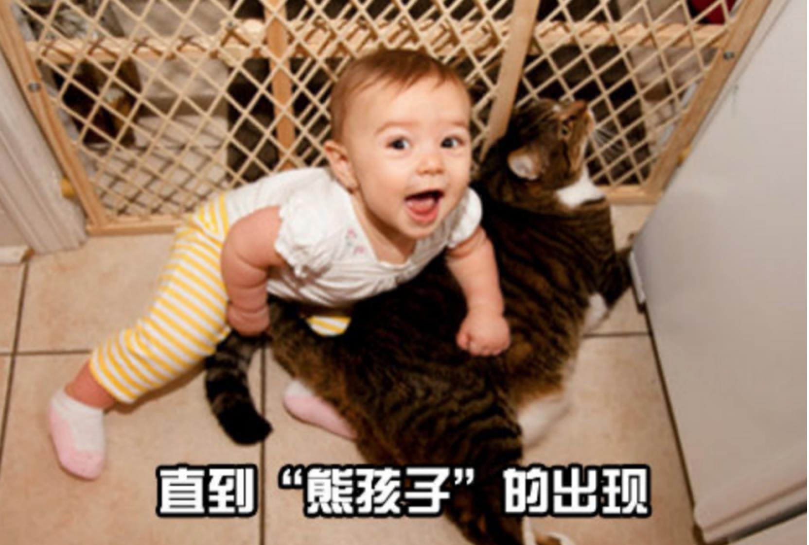 场景|手办各种毁坏场景,简直是宅男的“人间惨剧”,熊孩子要不得啊