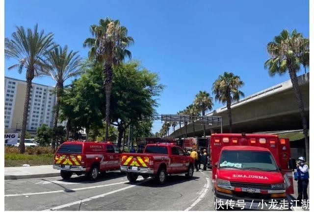  酒店|酒店住客混战群殴百名老小全动手