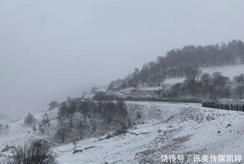  下雪|最新：这里下雪了！难怪安康这么冷的……