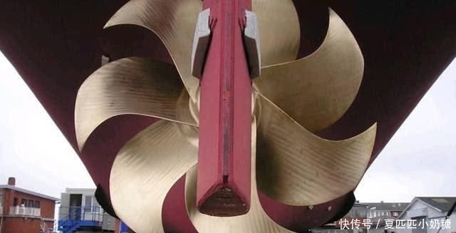 威力|航母螺旋桨的威力有多恐怖?看看这些海洋生物的伤口就明白了