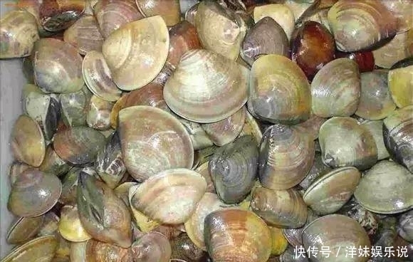 海鲜|海鲜大全, 你能认出多少