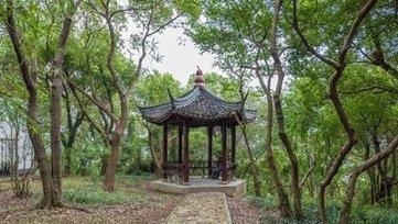 后代|陆逊的后代到了西晋为何被灭三族