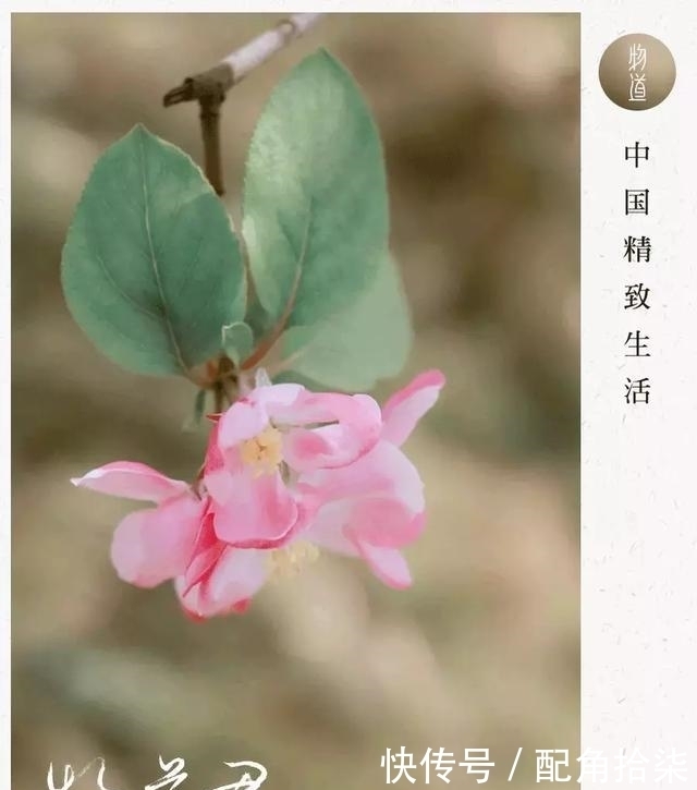 祖先|清明为什么要祭祖?这是我听过最好的答案