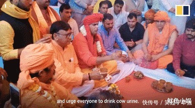 神奇|为什么印度人都爱喝“牛尿”,它真的这么神奇吗