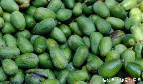 酷似|果实酷似橄榄,三年才成熟,新鲜的不值钱,干果卖400元1公斤