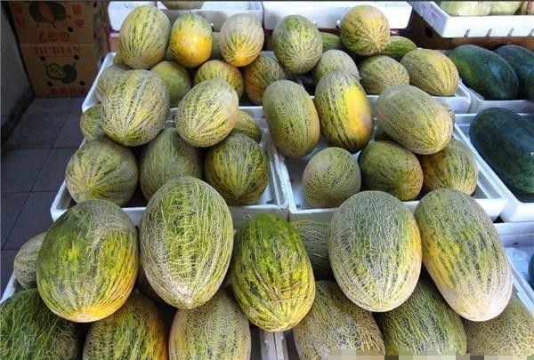 不少|康熙因不懂地理而叫错1水果的名字,一直叫了400多年,如今火遍全国!