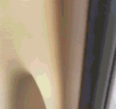 真的|搞笑GIF：我差点就真的以为你是在照镜子了