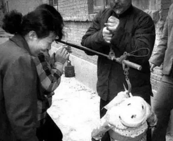 农村|那些七,八十年代的农村老照片,看完都是满满的回忆