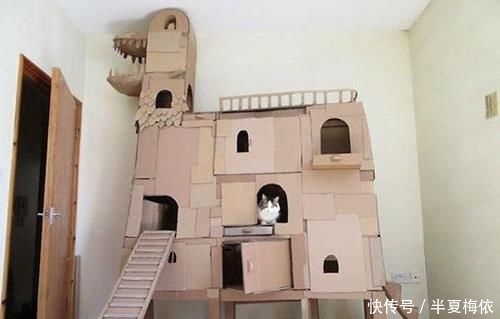 豪华|有才!外国网友用废纸箱,给喵星人打造豪华城堡