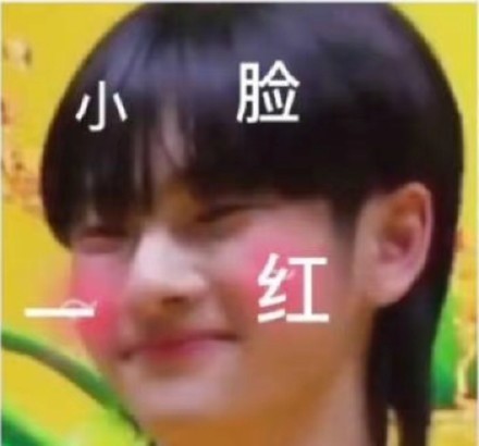  事迹|R1SE那些像极了假料的壶人真实事迹！