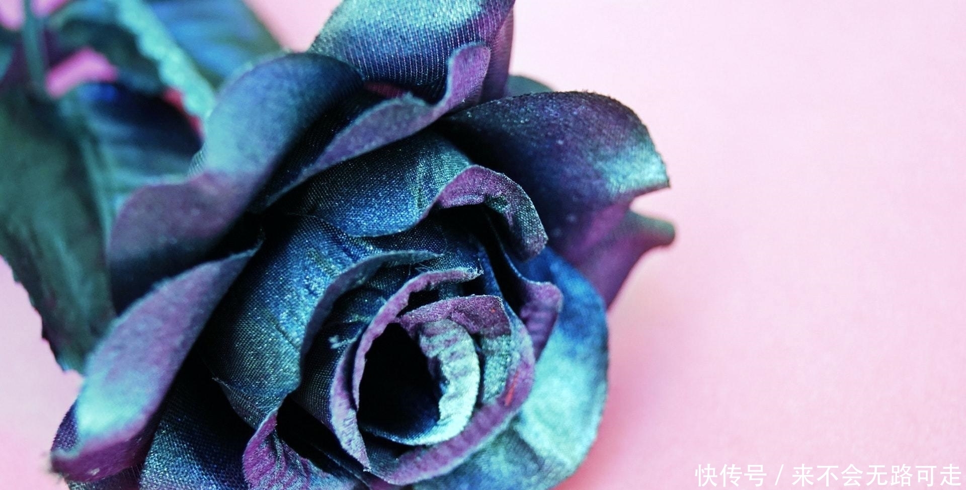 感情里|有一种深爱,叫成全