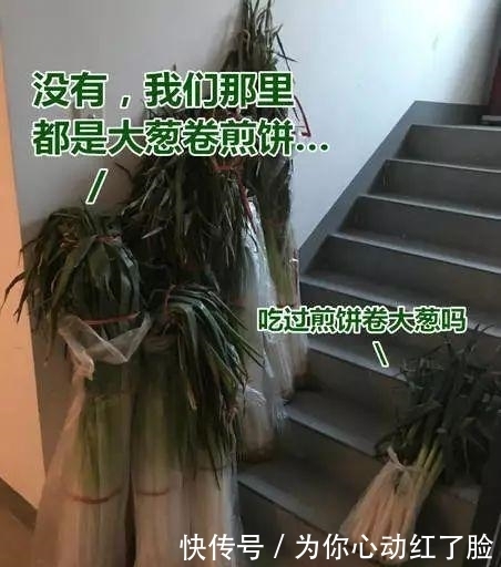 南方人|南方人说: 北方的食物, 是世界上最大的骗子! ?