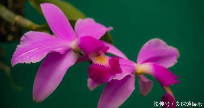  生肖|8月开始贵人辅佐，运势上涨，富贵不倒的四大属相