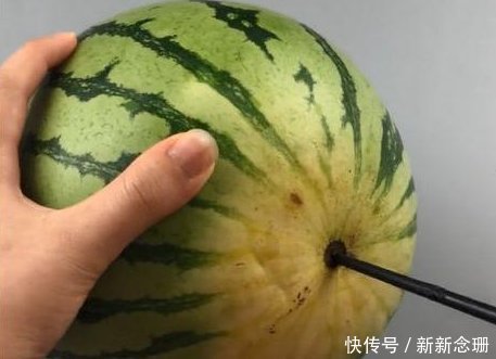 筷子|西瓜上插根筷子，竟有如此妙用吃了30年西瓜才知道后悔才明白