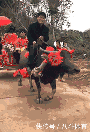  gif|搞笑gif：为了藏5元私房钱，又逼疯了一个