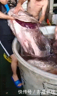 足球|让妹纸来告诉你什么才叫颠足球，哈哈哈哈