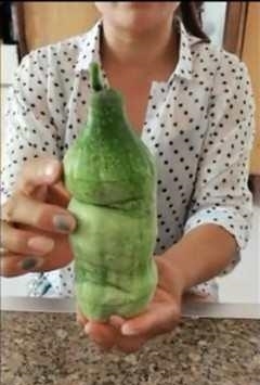 饮料瓶|女子把黄瓜放进饮料瓶里,众人嘲笑,一个月后却令人羡慕不已!